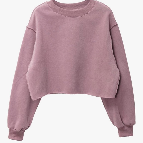 Amazhiyu Sweaters - Cropped Mauve Sweatshirt